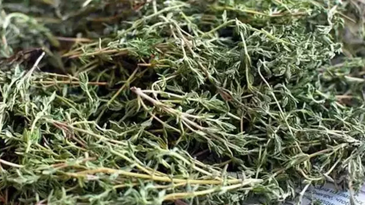 İbn-i Sina yüzlerce yıl önce anlatmış: Çayını yapıp bardak bardak için, cayır cayır yağ yakan yöntem!