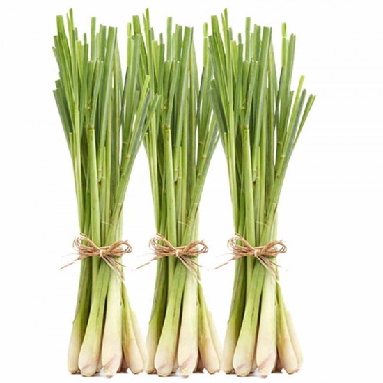 Foto - İbn-i Sina yüzyıllar önce bu bitkiyi önerdi! Beyinde ve damardaki tıkanıklığı geçiren tek besin! Türkiye'den tüm dünyaya yayıldı!