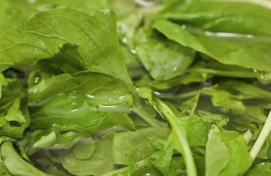 Foto - İbn-i Sina yüzyıllar önce önerdi: Bu sebze vücuda adeta reset atıyor, baştan aşağı temizliyor! Anında bunu yapın