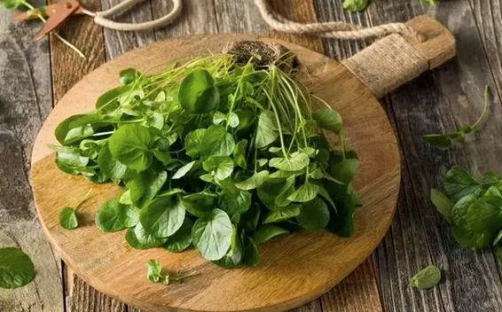 Foto - İbn-i Sina yüzyıllar önce önerdi: Bu sebze vücuda adeta reset atıyor, baştan aşağı temizliyor! Anında bunu yapın