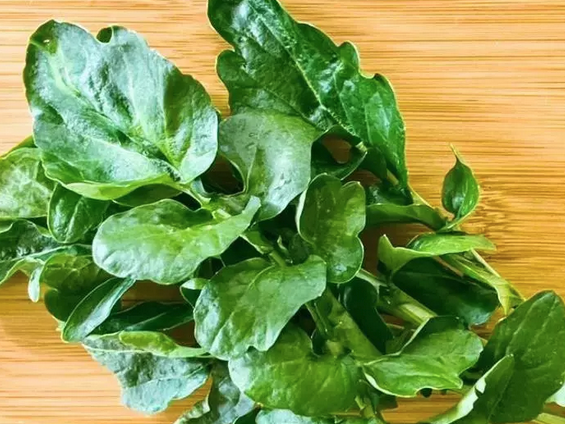 Foto - İbn-i Sina yüzyıllar önce önerdi: Bu sebze vücuda adeta reset atıyor, baştan aşağı temizliyor! Anında bunu yapın