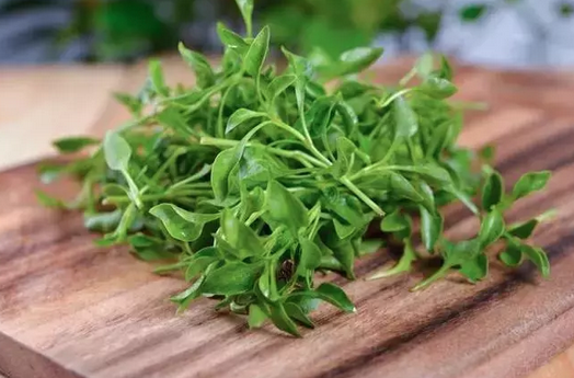 Foto - İbn-i Sina yüzyıllar önce önerdi: Bu sebze vücuda adeta reset atıyor, baştan aşağı temizliyor! Anında bunu yapın