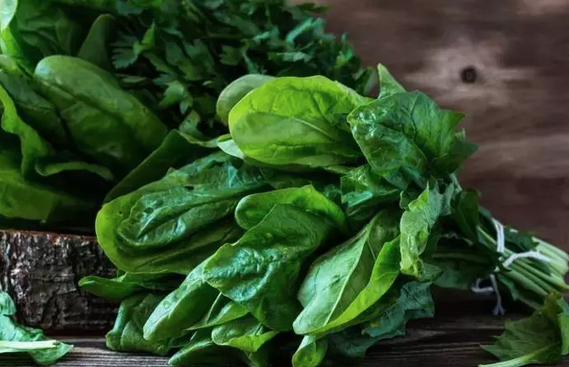 Foto - İbn-i Sina yüzyıllar önce önerdi: Bu sebze vücuda adeta reset atıyor, baştan aşağı temizliyor! Anında bunu yapın