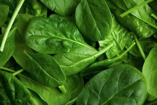 Foto - İbn-i Sina yüzyıllar önce önerdi: Bu sebze vücuda adeta reset atıyor, baştan aşağı temizliyor! Anında bunu yapın