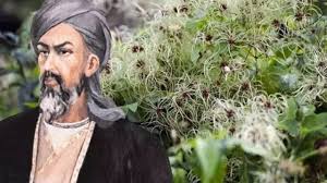 Foto - İbn-i Sina yüzyıllar önce önerdi! Reçetesi: Bu sebze vücuda adeta reset atıyor, baştan aşağı temizliyor! Pek kimseler bilmiyor