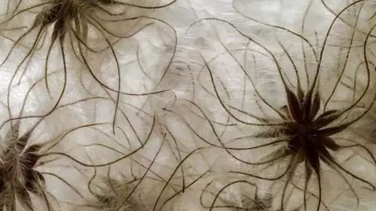 Foto - İbn-i Sina yüzyıllar önce önerdi: Vücuda adeta reset atıyor!