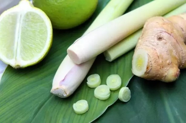 Foto - İbn-i Sina yüzyıllar önce onu önerdi! Beyinde ve damardaki tıkanıklığı geçiren tek besin ortaya çıktı! İnanılmaz bir bitki