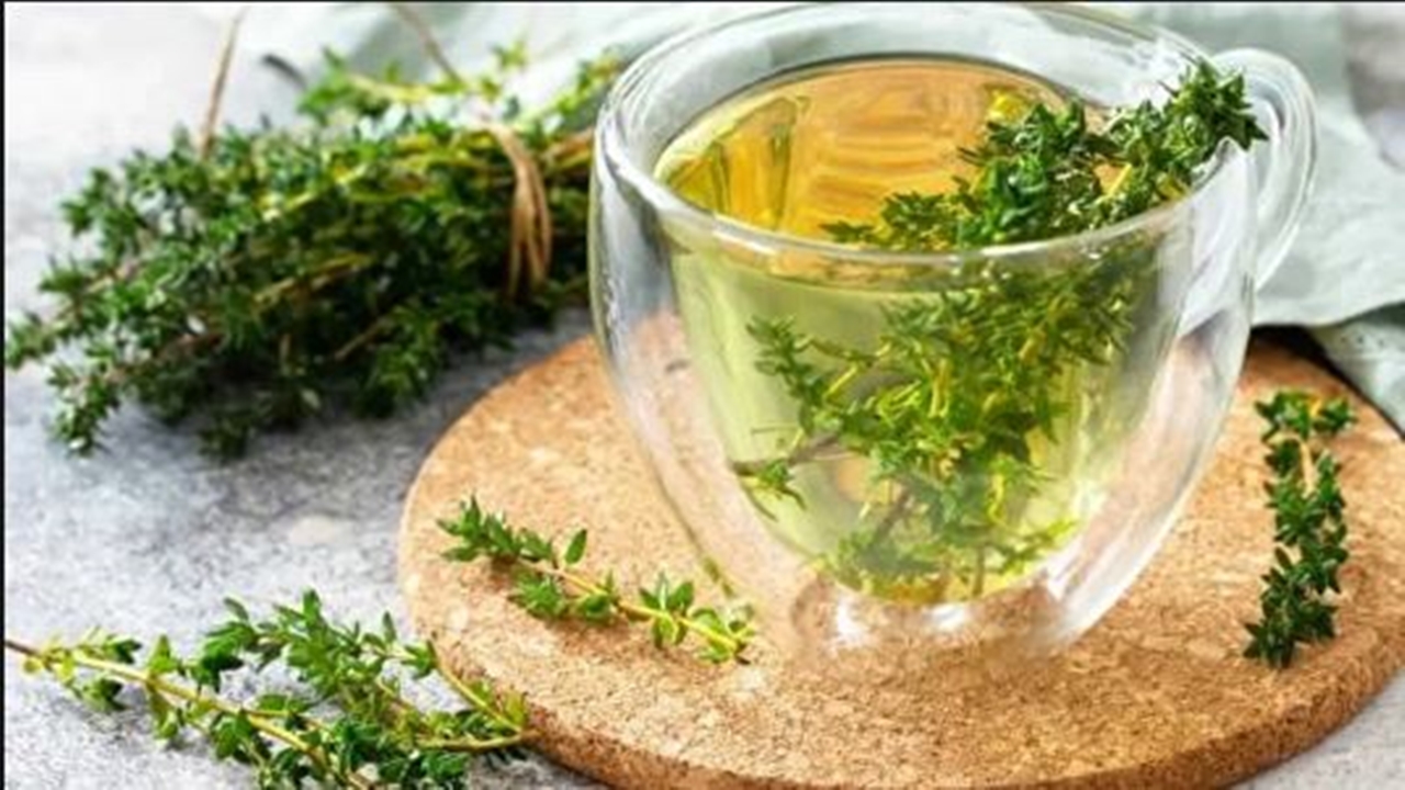 Foto - İbn-i Sina’dan asırlık zayıflama sırrı! Bu bitki yağ yakımını hızlandırıyor!