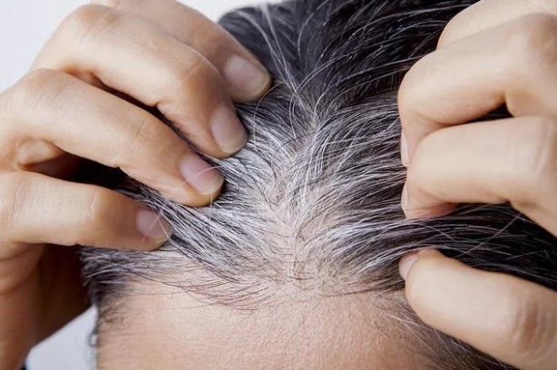 Foto - İbn-i Sina'dan beyaz saçlar için binlerce yıllık reçete!