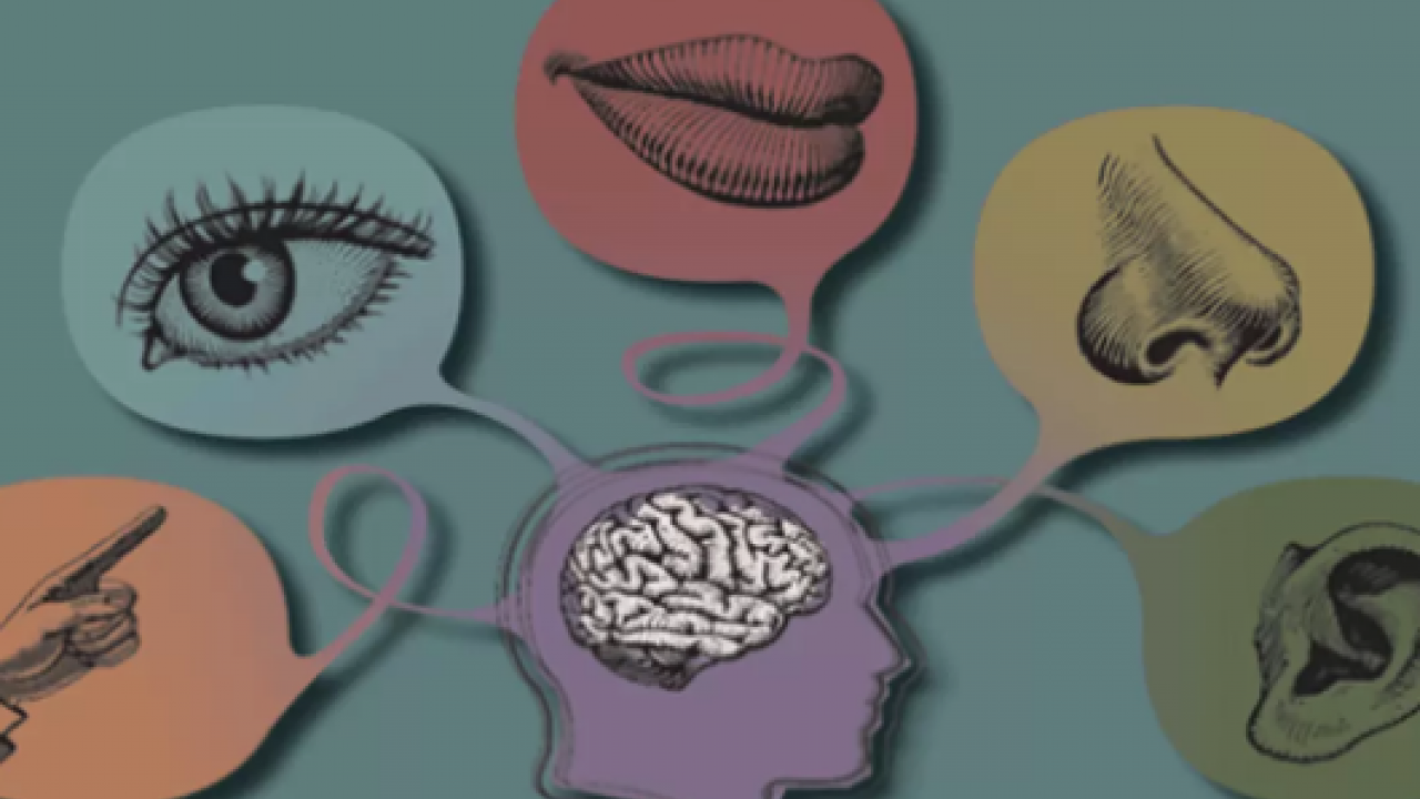 İbn-i Sina'dan bin yıllık doğal öneriler! Hangi duygu hangi organa zarar veriyor? 