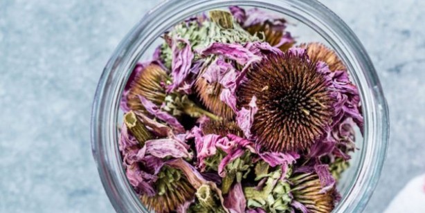 Foto - İbn-i Sina'dan grip ve soğuk algınlığına reçete! Bal ile sirke karışımı boğaz ağrısına şifa: Ezberleri bozuyor, herkes yapsın