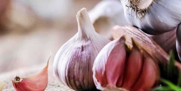 Foto - İbn-i Sina'dan grip ve soğuk algınlığına reçete! Bal ile sirke karışımı boğaz ağrısına şifa: Ezberleri bozuyor, herkes yapsın