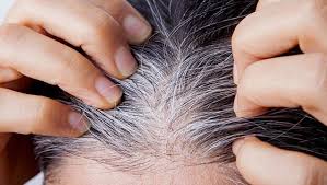 Foto - İbn-i Sina´nın bin yıl önce hazırladığı sağlık reçetesi ortaya çıktı! Boya değil bitkisel yağ ile beyaz saçları yok ediyor