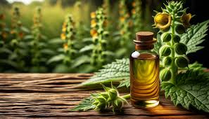 Foto - İbn-i Sina´nın bin yıl önce hazırladığı sağlık reçetesi ortaya çıktı! Boya değil bitkisel yağ ile beyaz saçları yok ediyor