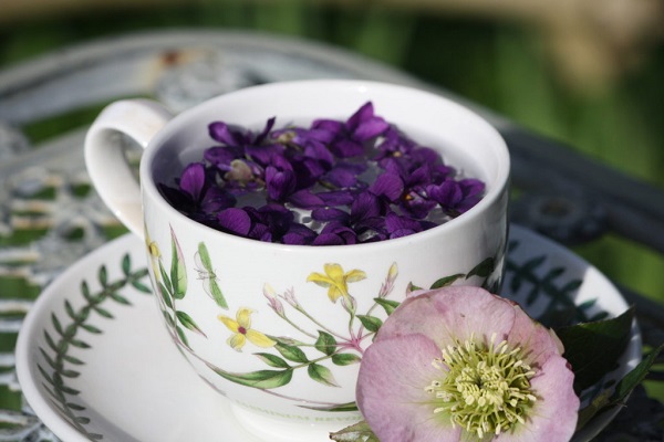 Foto - İbn-i Sina'nın bin yıllık baş ağrısı çözümü! Kokusu bile yetiyor