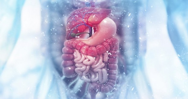 Foto - İbn-i Sina'nın bin yıllık sabah reçetesi! Öyle bir fayda etti ki: Zıpkın gibi yapıyor, yiyen yorgunluk nedir bilmiyor