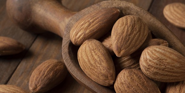 Foto - İbn-i Sina'nın binlerce yıl önce duyurduğu şifa olan besinler! Halsizlik, mide ağrısı, reflü tedavisi ve dahası