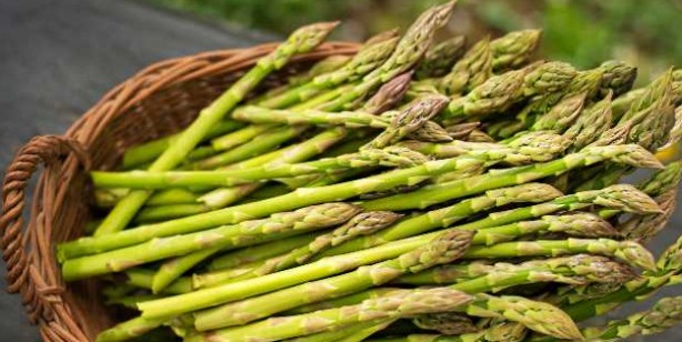 Foto - İbn-i Sina'nın binlerce yıl önce duyurduğu şifa olan besinler! Halsizlik, mide ağrısı, reflü tedavisi ve dahası