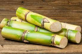 Foto - İbn-i Sina'nın birçok derde deva reçeteleri: Tıp ve sağlık için bin yıl önce yazdı! Nasıl, ne işe yarıyor?