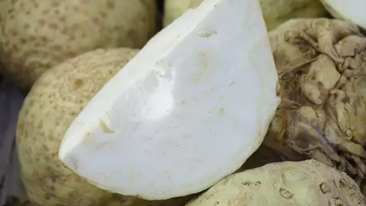  İbn-i Sina'nın favorisi! Karaciğerdeki toksinlerin kökünü kurutuyor: Her derde deva reçetesi