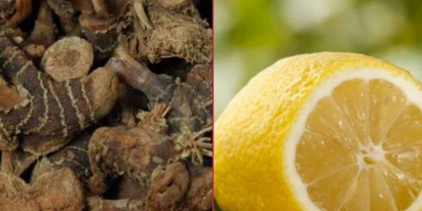 Foto - İbn-i Sina'nın günümüzde sık rastlanan hastalıklar için verdiği 8 şifalı tarif: Yiyen şifasına şaştı kaldı! Bakın ne