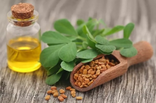 Foto - İbn-i Sina'nın her derde deva 1000 yıllık reçetesi! Yiyen hastalık yüzü görmüyor...