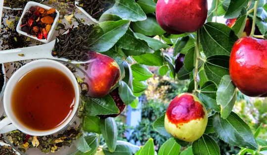 Foto - İbn-i Sina'nın her derde deva reçeteleri: önerdiği hünnap çayının faydaları nelerdir? Herkes yapsın