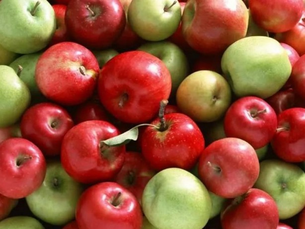 Foto - İbn-i Sina'nın mucize gibi tavsiyeleri! İşte vücudu dipçik gibi yapan besinler 