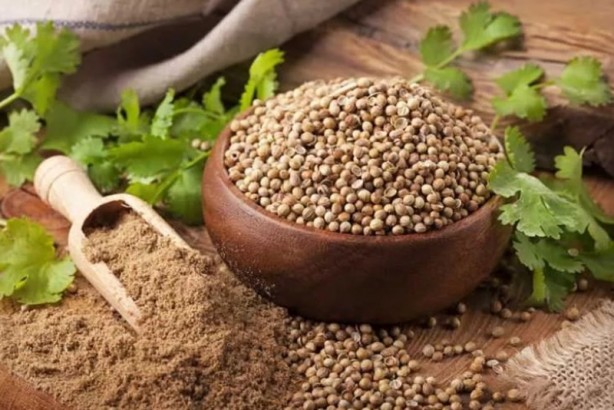 Foto - İbn-i Sina'nın mucize gibi tavsiyeleri! İşte vücudu dipçik gibi yapan besinler 