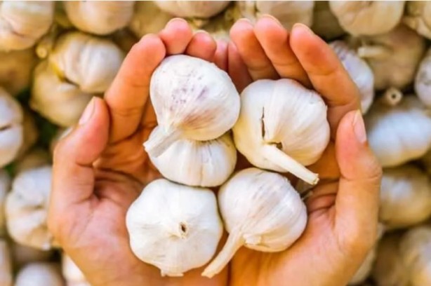 Foto - İbn-i Sina'nın mucize gibi tavsiyeleri! İşte vücudu dipçik gibi yapan besinler 