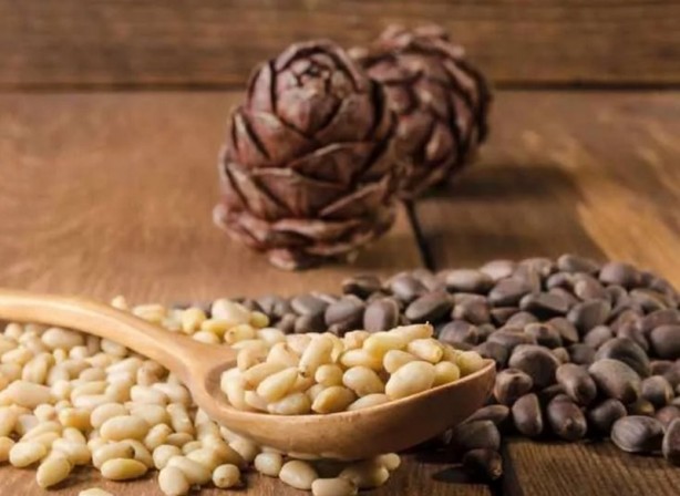 Foto - İbn-i Sina'nın mucize gibi tavsiyeleri! İşte vücudu dipçik gibi yapan besinler 