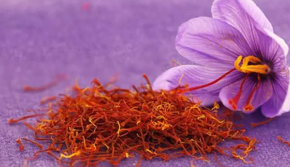 Foto - İbn-i Sina mutlaka tüketin demişti: İşte hafızayı güçlendiren baharatlar