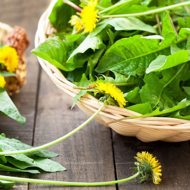 Foto - İbn-i Sina'nın şeker hastalığına şifa olan tavsiyesi