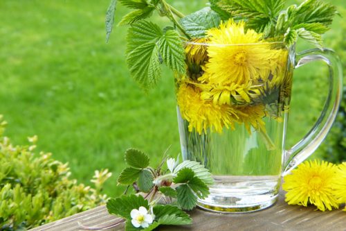 Foto - İbn-i Sina'nın şeker hastalığına şifa olan tavsiyesi
