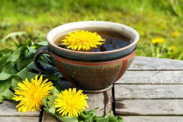 Foto - İbn-i Sina'nın şeker hastalığına şifa olan tavsiyesi