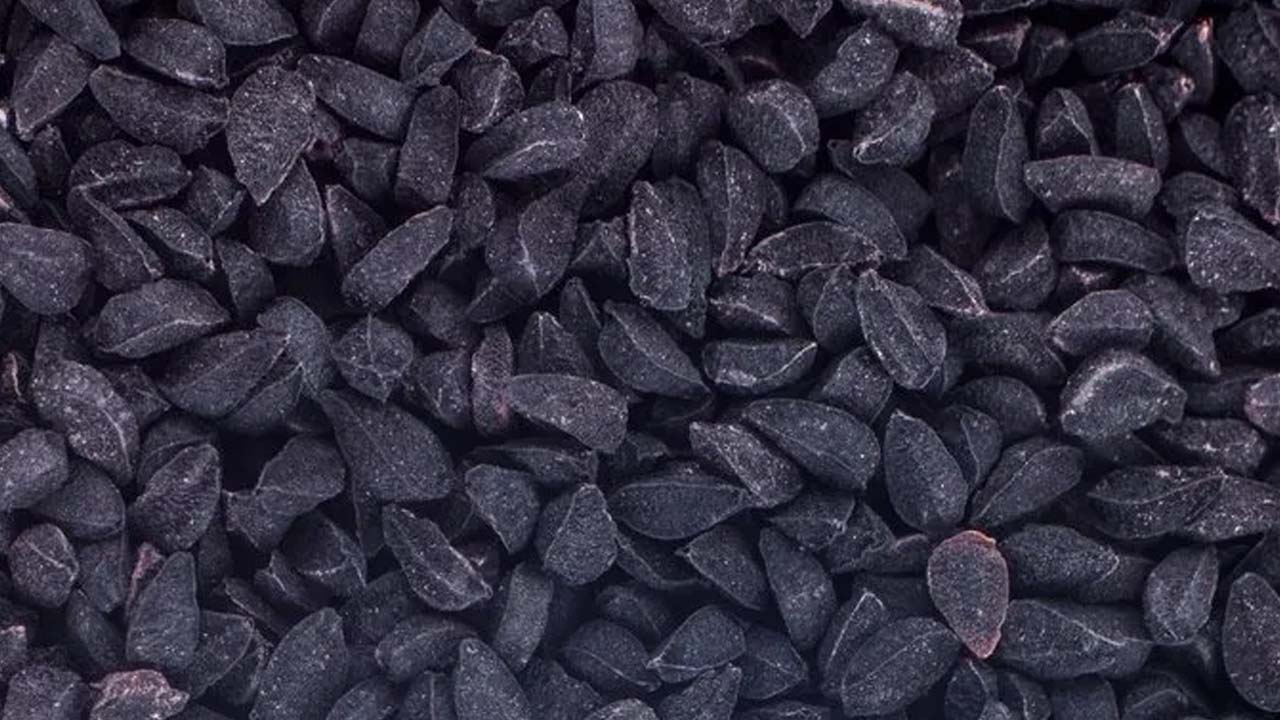 Foto - İbn-i Sina'nın şifa kaynağı tarifi! 