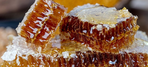 Foto - İbn-İ Sina'nın tavsiye ettiği süper besin nelerdir?