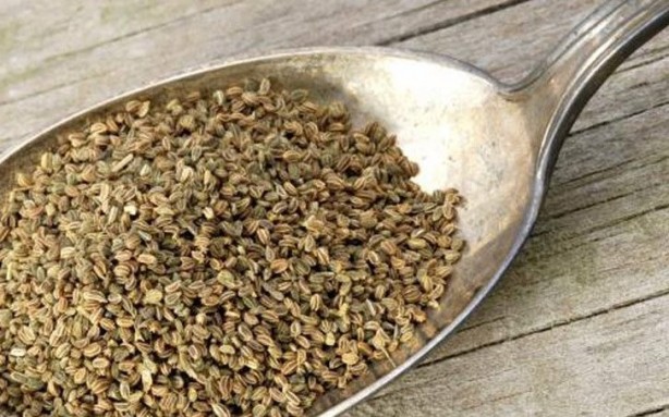 Foto - İbn-İ Sina'nın tavsiye ettiği süper besin nelerdir?