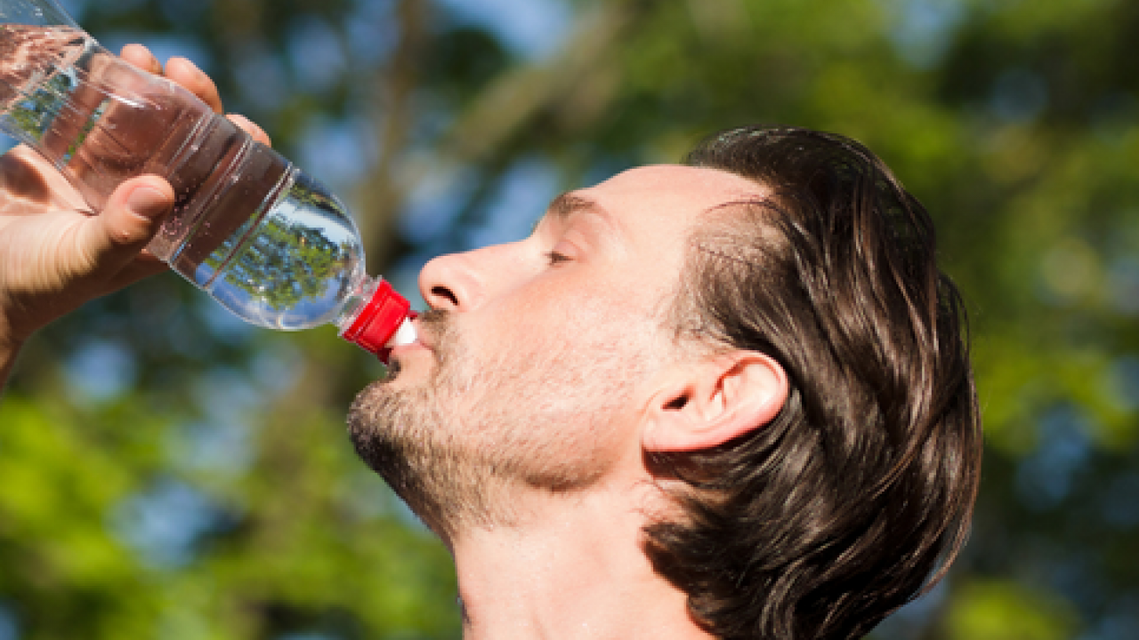 Foto - İbn-i Sina'nın bin yıllık reçetesi: Yemekten sonra ılık su içen yandı! Hayır getirmiyor! O hazırlanan karışım