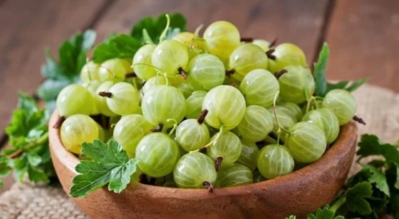 İbni Sina'nın Tıp Kitabında 500 yıllık formülü! Her yerde var! Tek bir tel bile ak düşmeyecek, önünü kesen tarif