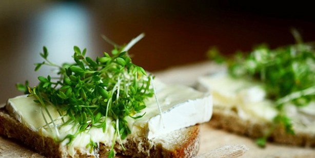 Foto - İbrahim Saraçoğlu akciğer kanseri kür tarifleri: Tere kürü, zencefilli kür akciğerleri temizliyor, kanserden koruyor!