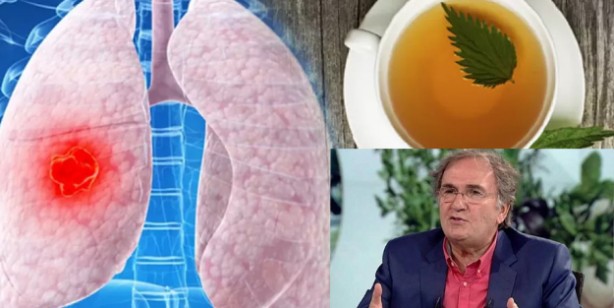 İbrahim Saraçoğlu akciğer kanseri kür tarifleri: Tere kürü, zencefilli kür akciğerleri temizliyor, kanserden koruyor!