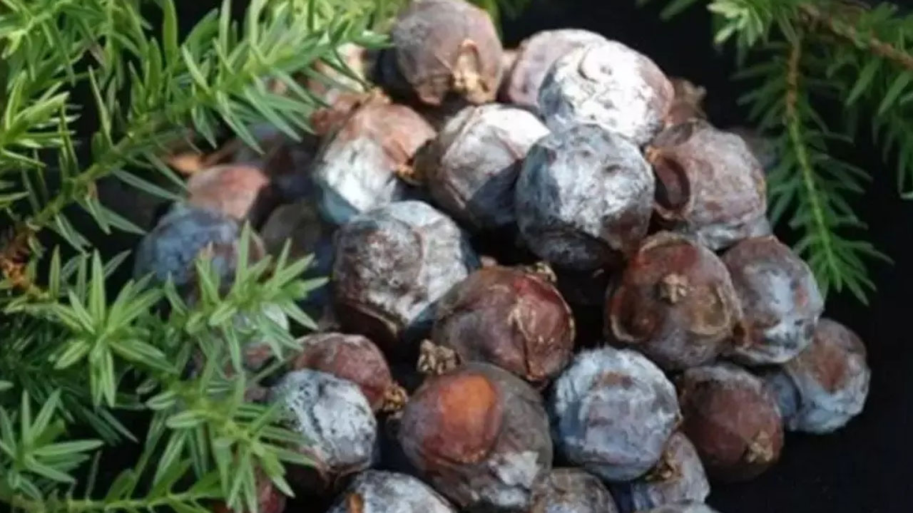 Foto - İbrahim Saraçoğlu ısrarla öneriyor: Kalsiyum, magnezyum ve potasyum zengini! Kaşık kaşık yiyin demir dolduruyor