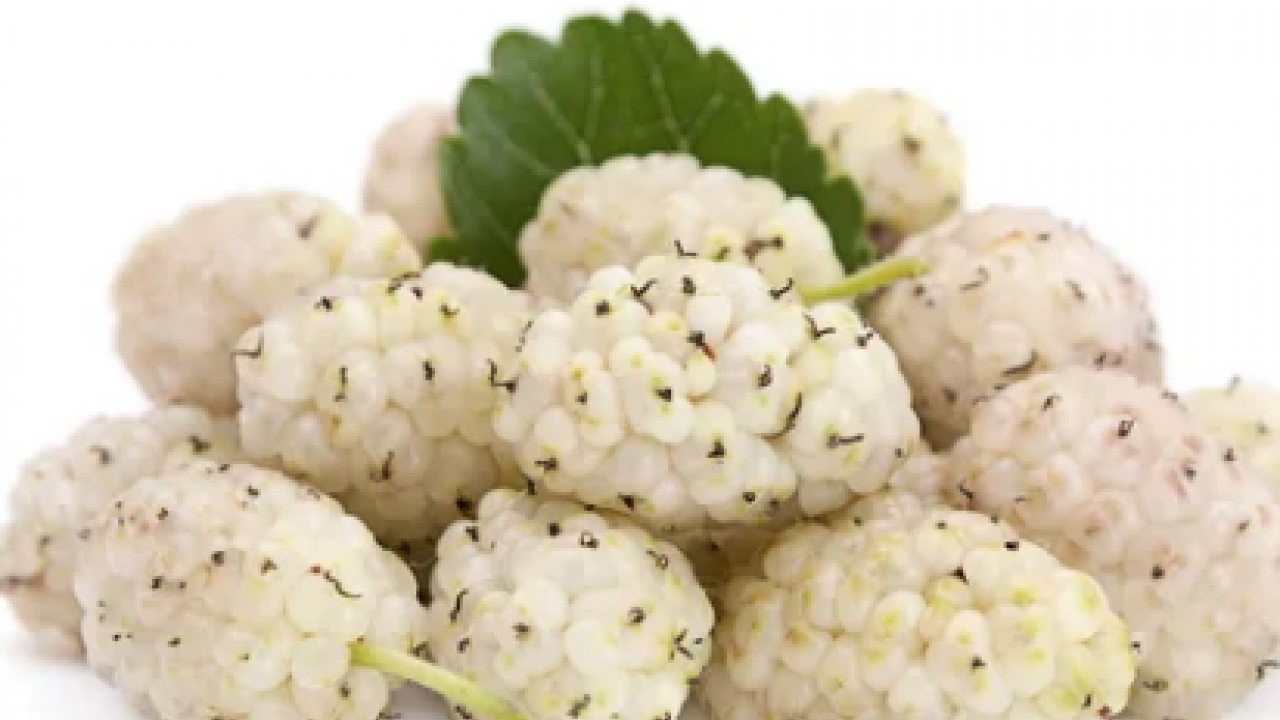 İbrahim Saraçoğlu: Osmanlı padişahları bile kullanıyordu! Etkili oluyor