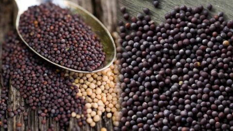 Foto - İbrahim Saraçoğlu sır gibi saklıyordu, sonunda paylaştı! Bir çay kaşığı kullanın olacakları görün