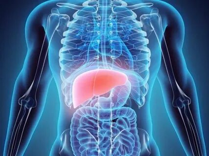 Foto - Saraçoğlu açıkladı: 1 kaşığı ile öksürük ve soğuk algınlığından kurtulacaksınız...