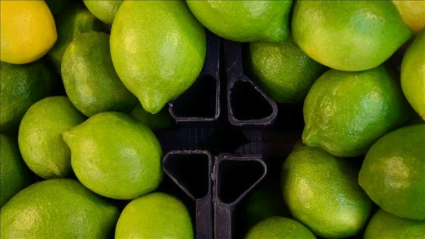 Foto - İbrahim Saraçoğlu zayıflatan tarifi verdi! 1 haftada göbekte yağ bırakmıyor! Sarımsak ve limonu…