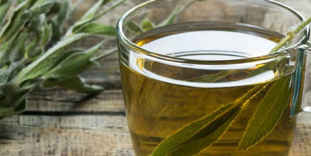 Foto - İbrahim Saraçoğlu'ndan koronavirüse karşı gargara tarifi: Övgü ile açıkladı! Yoğun talep arttı 