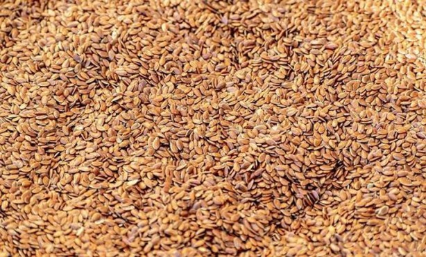 Foto - İbrahim Saraçoğlu'nun favori besini meğer oymuş! Balıktan tam 7 bin kat fazla Omega-3 içeriyor, hastalıkların resmen kökünü kazıyor