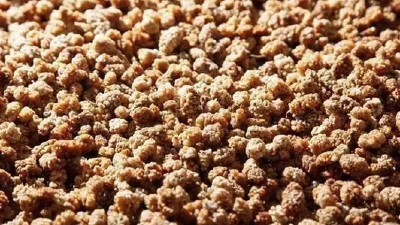 Foto - İbrahim Saraçoğlu'nun mucize tarifi: Egzamanın en doğal çaresi! 